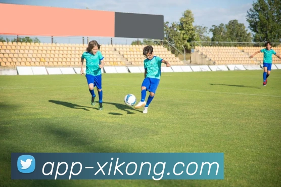 星空体育APP 封面图