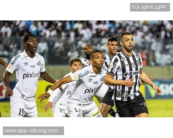 若日尼奥:巴甲冠军归功于全体成员团队凝聚力至关重要 若日尼奥:巴甲冠军归功于全体成员团队凝聚力至关重要